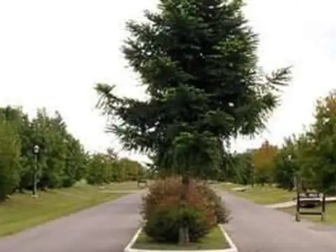 Terreno en Venta de 764,0 m2