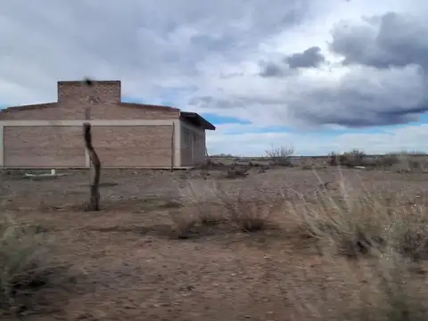 En Venta | 25 Ha | Senillosa