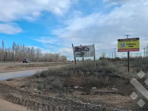 En Venta | 25 Ha | Senillosa