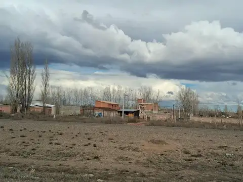En Venta | 25 Ha | Senillosa