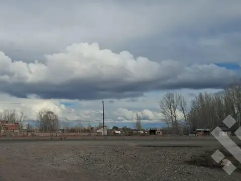 En Venta | 25 Ha | Senillosa