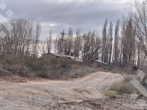 En Venta | 25 Ha | Senillosa