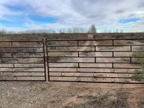 En venta | 25 ha | senillosa