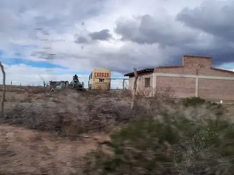 En Venta | 25 Ha | Senillosa