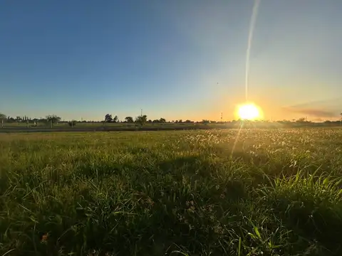 Terreno en Venta de 801,0 m2