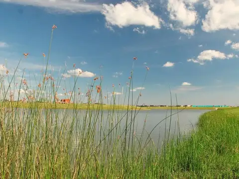 San Sebastián - Area 2 - 100