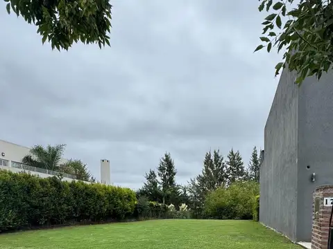 Los Olivares