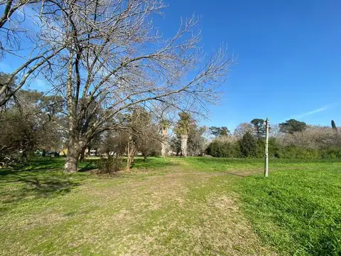 Antonio Cadelago 920