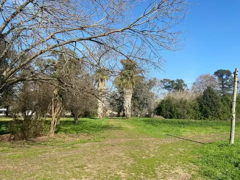 VENTA HECTAREAS RURALES -  MERLO LOCALIDAD EL PALOMO