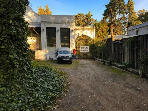 Las Magnolias 100