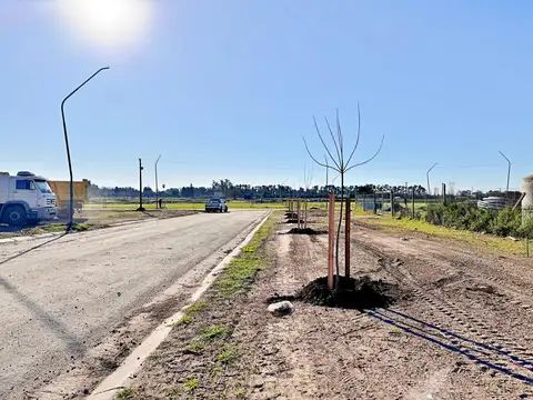 Terreno en Venta 30  mts Fondo