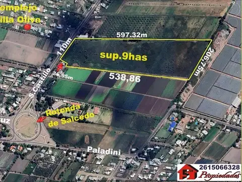 9 has Severo Castillo frente VILLA OLIVO A 300m C.G-CRUZ.