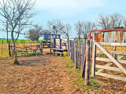Campo en Venta en Lujan, Partido de Luján