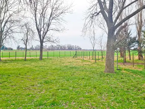 Campo en Venta Agrícola