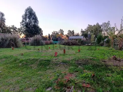 Terreno en Venta de 800,0 m2