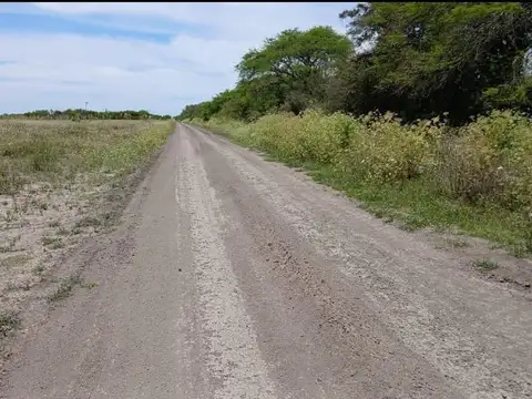 Campo agrícola en Sauce de Luna