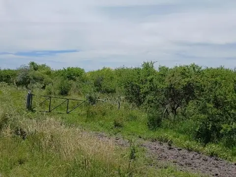 844 Hectáreas En Sauce De Luna