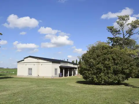 CAMPO AGRICOLA EN ARRECIFES