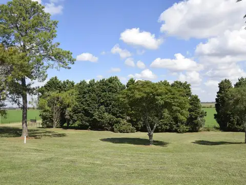 EXCELENTE CAMPO EN ARRECIFES 100