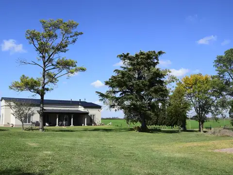 CAMPO AGRICOLA EN ARRECIFES 