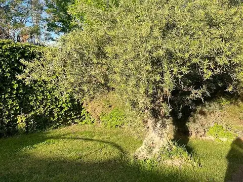 Callejón Taboada 1700