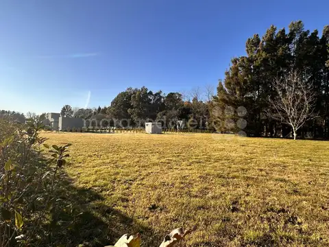 VENTA LOTE CHASCOMUS LA NATIVIDAD LAGUNA