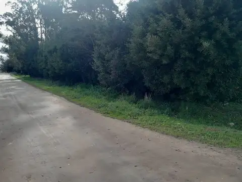 Terreno en Venta de 1000,0 m2