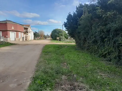 23 e/4 y 6