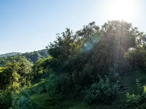 Finca del chamical