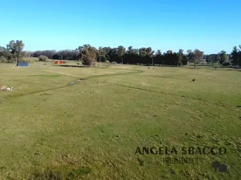 El Jilguero, Arroyo De La Cruz.