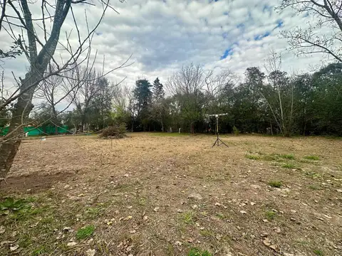 Terreno en Venta 52  mts Fondo