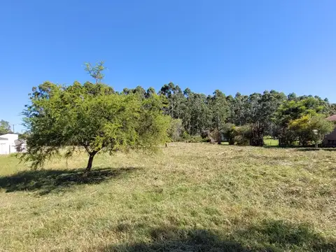 Terreno en Venta en Federacion, USD 25.000