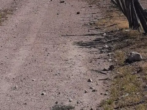 Campo de 5.000 ha GANADERAS, CON EXCELENTES CONDICIONES PARA PRODUCIR EN DISTINTAS INVERSIONES.