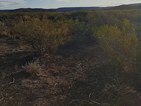 Campo de 5.000 ha GANADERAS, CON EXCELENTES CONDICIONES PARA PRODUCIR EN DISTINTAS INVERSIONES.