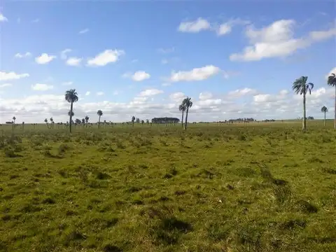 Ruta 16 y 2000 metros de camino