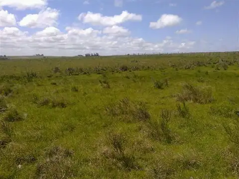 Campo - Venta - Uruguay, Rocha