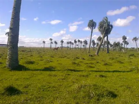 Ruta 16 y 2000 metros de camino