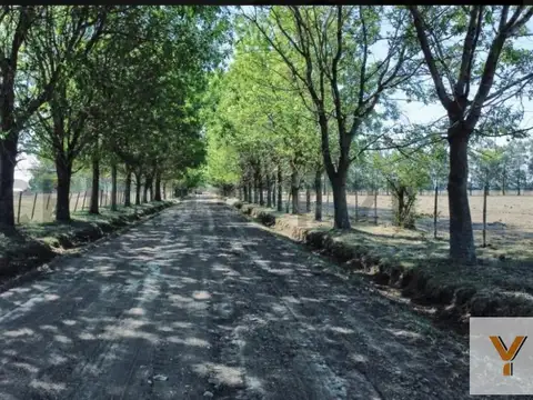 515 e/ Ruta 2 y Ruta 6