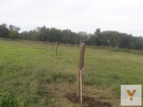 Terreno en Venta de 504,0 m2