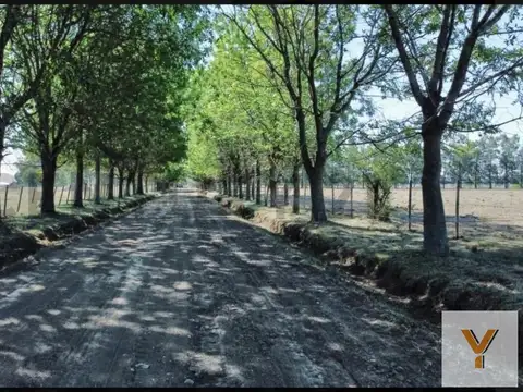 Terreno en Venta - 504m² - Abasto, La Plata