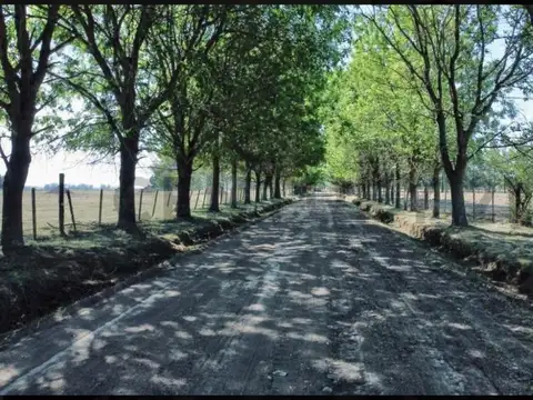 Terreno en Venta - 504m² - Abasto, La Plata