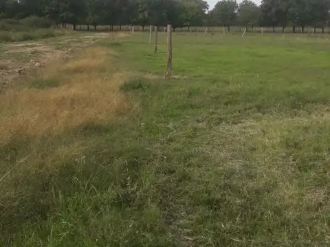 Terreno en Venta de 504,0 m2