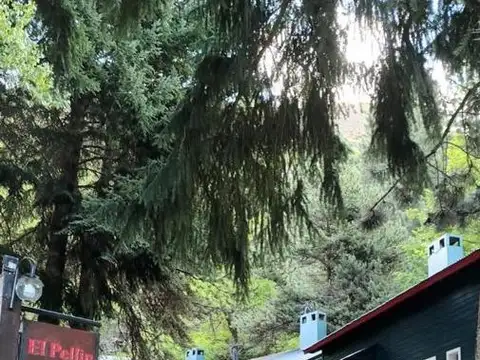 Departamento en Alquiler Temporal de 3 ambientes
