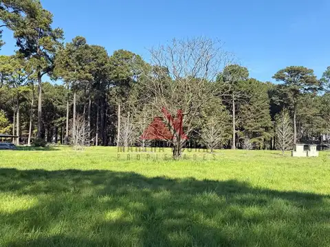 Terreno en Venta de 1500,0 m2