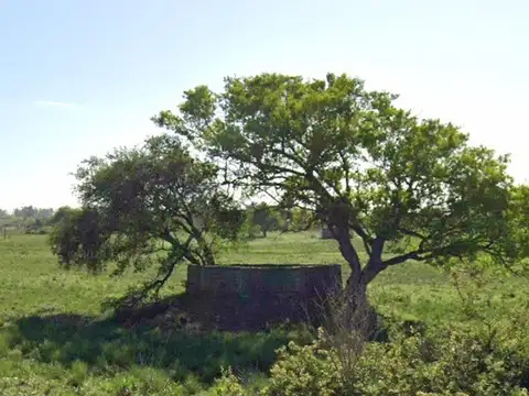 Terreno en Venta de 300,0 m2