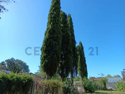 Quinta en Venta en City Bell, USD 249.000