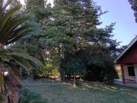 447 esquina 21 , Piso 0