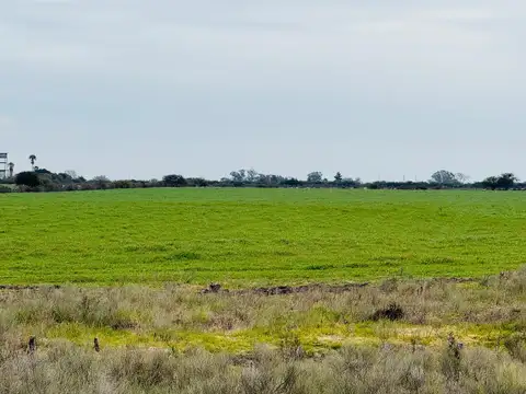 Chacra 9 Has, en Gualeguaychu frente a  9has