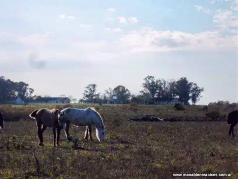 Campo en Venta de 9  ha