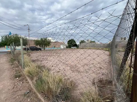 Barrio Viejo Tonel II 400